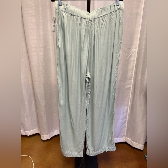 Cloth & Stone Wide Leg Pleated Satin Pant seaside mint green NWT | size Large - Picture 4 of 11